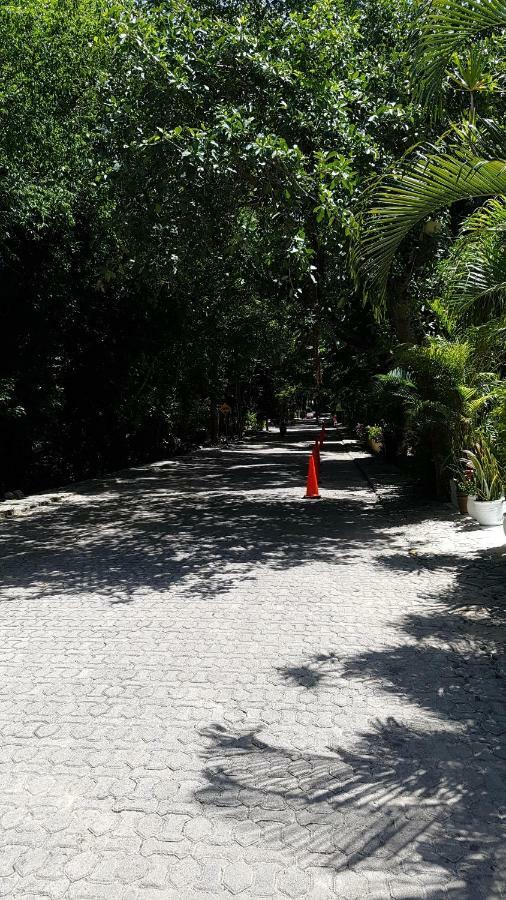 Apartamento Amate 3 *