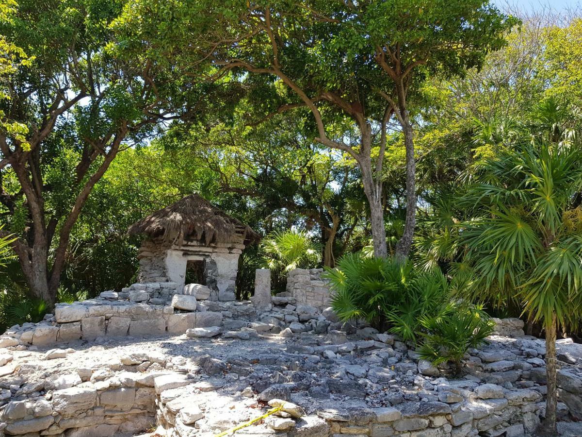 Amate 3 * Playa del Carmen